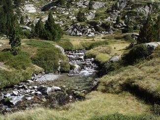 torrent montagne