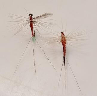 Spinner BWO