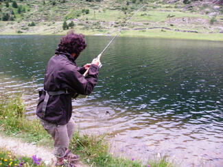 pêche truite leurre