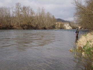 pêche truite leurre