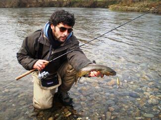 Pêche au poisson nageur