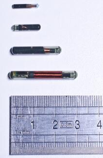 Pit-tag