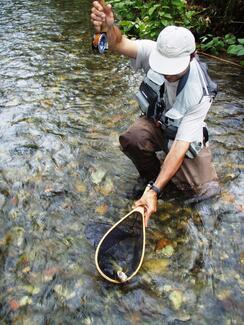 pêche ruisseau