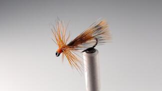 Sedge Roux