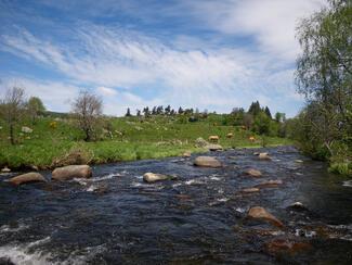 pêche Lozère