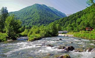 rivière truite pyrénées