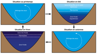 thermocline