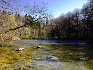 cours d'eau