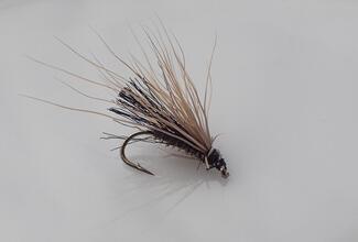 sedge chevreuil