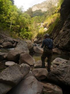 Chasse Verdon