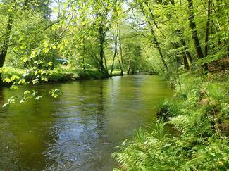 gestion de l'eau