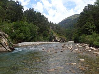 pêche verdon