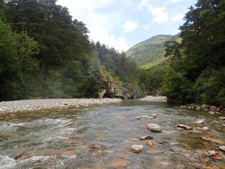 pêche haut Verdon