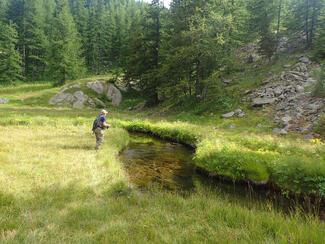 pêche haut Verdon