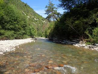 pêche haut Verdon