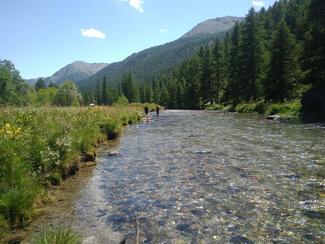 gestion de l'eau