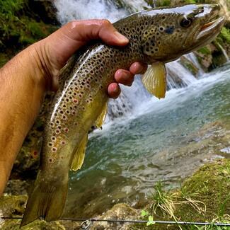 pêche micro leurre souple