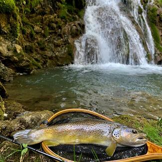 pêche micro leurre souple