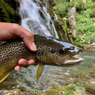 pêche micro leurre souple