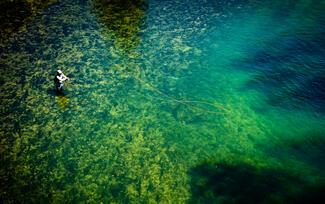 spey cast