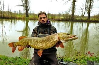 pêche mouche brochet