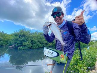 Tarpon Guadeloupe