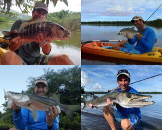 Tarpon Guadeloupe