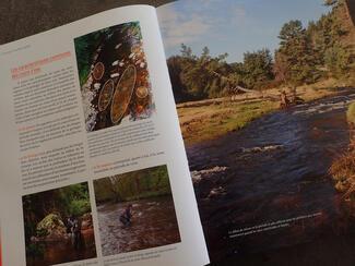 La pêche de la Truite aux leurres par Alain Foulon