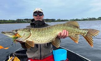 pêche mouche brochet