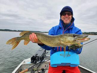 pêche mouche brochet