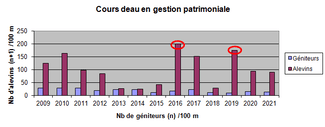 truite ariège