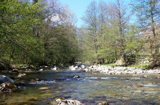 pêche ariège