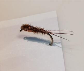 pheasant tail