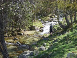 pêche Carança