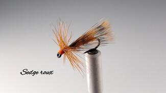 sedge roux