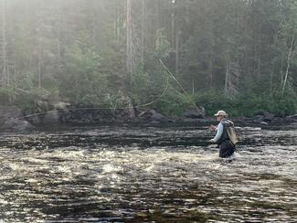 brochet suède