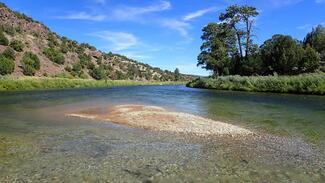 pêche Green River