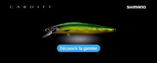 Trout Area : le choix des armes