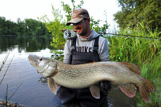 pêche brochet été