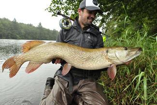 pêche mouche brochet