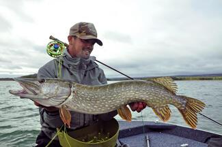 pêche mouche brochet