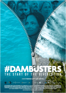 dambuster