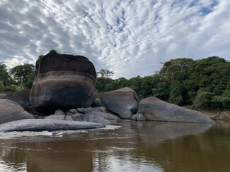 pêche payara