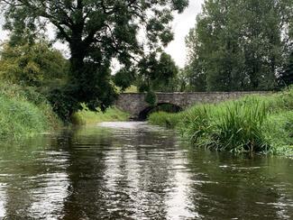 pêche brochet Irlande