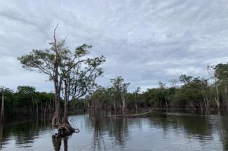 pêche rio negro