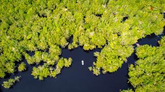 pêche rio negro