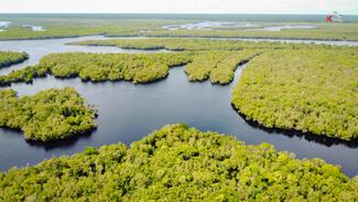 pêche rio negro