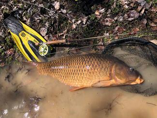 pêche mouche Espagne