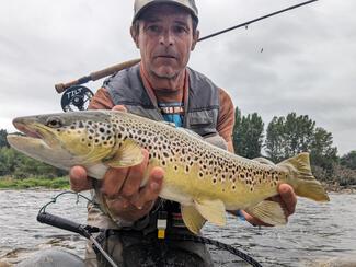 pêche grosse truite