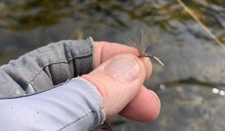 pêche mouche Asturies